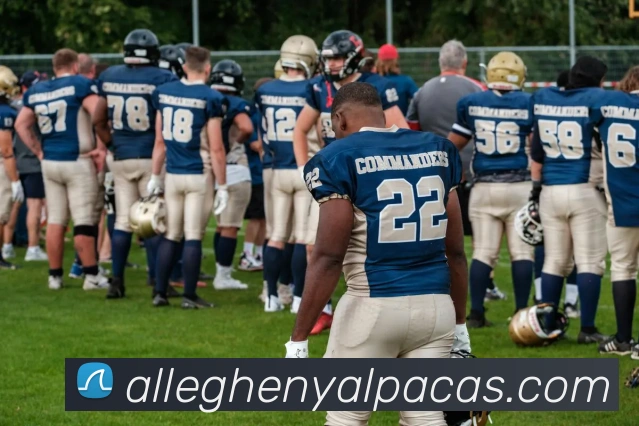 体育赛事